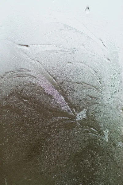 Bir pencere buz — Stok fotoğraf