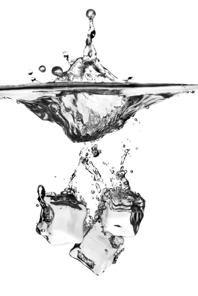 スプラッシュと水を落としのアイス キューブ — ストック写真