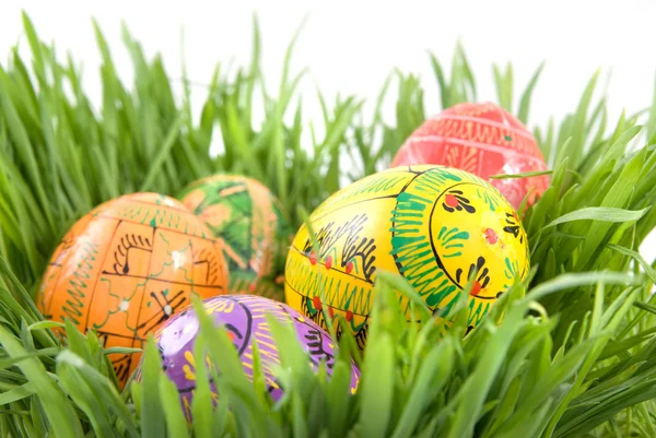 Barva velikonočních vajec v hnízdě ze zelené trávy — Stock fotografie