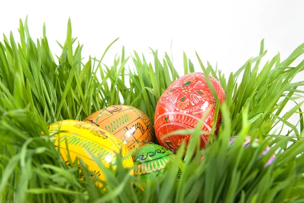 Barva velikonočních vajec v hnízdě ze zelené trávy — Stock fotografie
