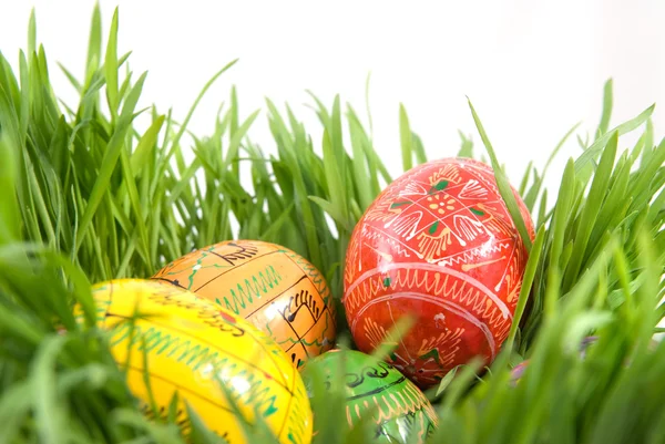 Huevos de Pascua de color en el nido de hierba verde —  Fotos de Stock