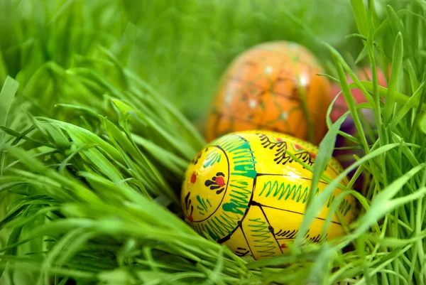Color easter eggs in nest from green grass — Stock Photo, Image
