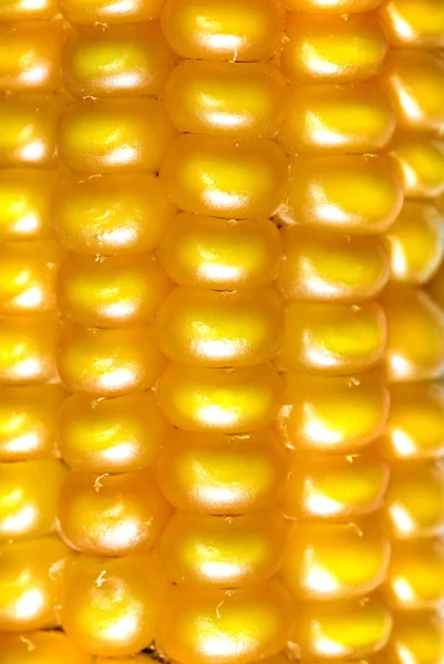 Makro foto av gul majs — Stockfoto