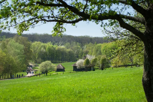 Stare domy na zielony łąka — Zdjęcie stockowe