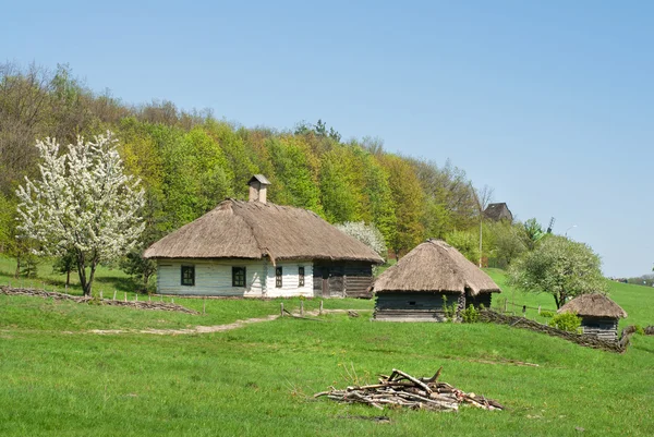 Yeşil orman karşı eski evleri — Stok fotoğraf
