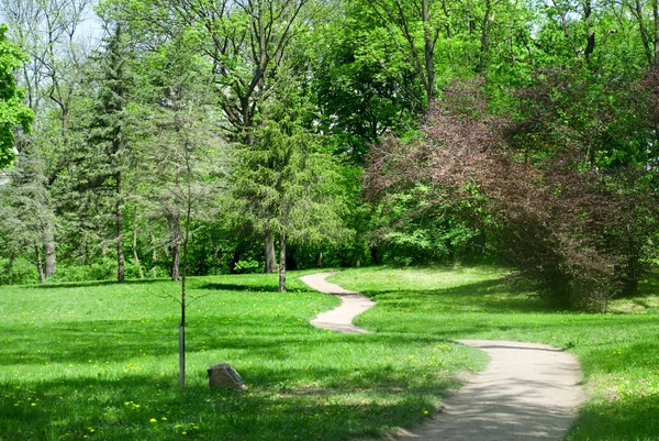 Parco verde in primavera — Foto Stock