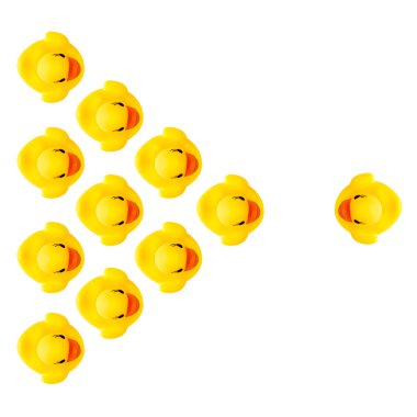 Rubber yellow ducks isolated on white clipart