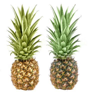 Beyaz üzerine izole edilmiş ananas