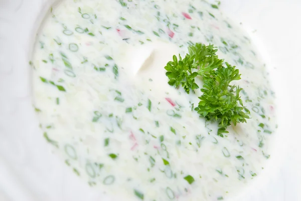Sopa fría con verduras picadas y carne en el plato — Foto de Stock