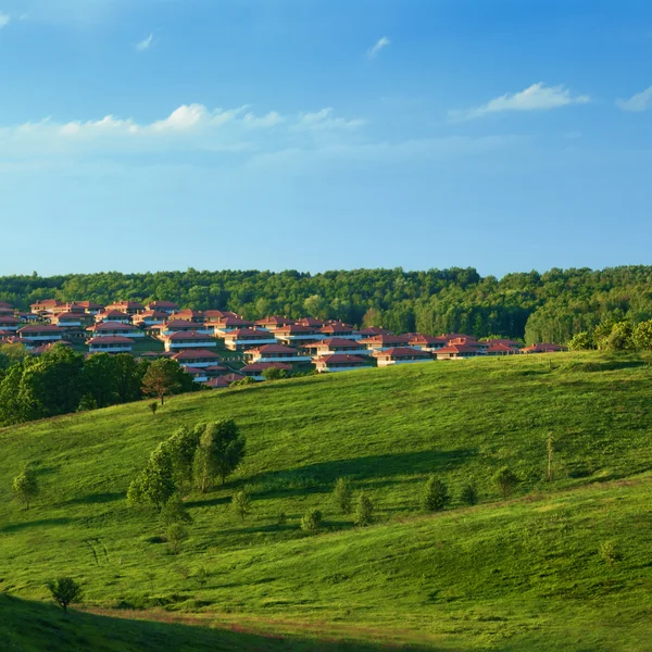 Mavi gökyüzü ve küçük kasaba karşı yeşil çayır — Stok fotoğraf
