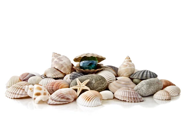Various color shells with stylized pearl — Stock Photo, Image
