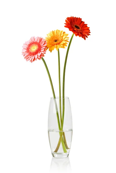 从雏菊非洲菊在玻璃花瓶中的花束 — 图库照片