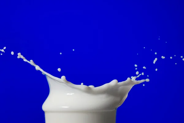 Milk splash isolated — Stock Photo, Image