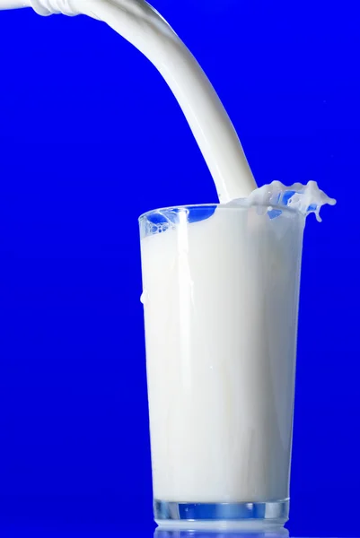 Melk splash geïsoleerd — Stockfoto