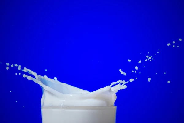 Salpicos de leite isolados — Fotografia de Stock
