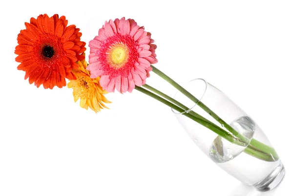 ガラス花瓶にデイジー ガーベラの花束 — ストック写真