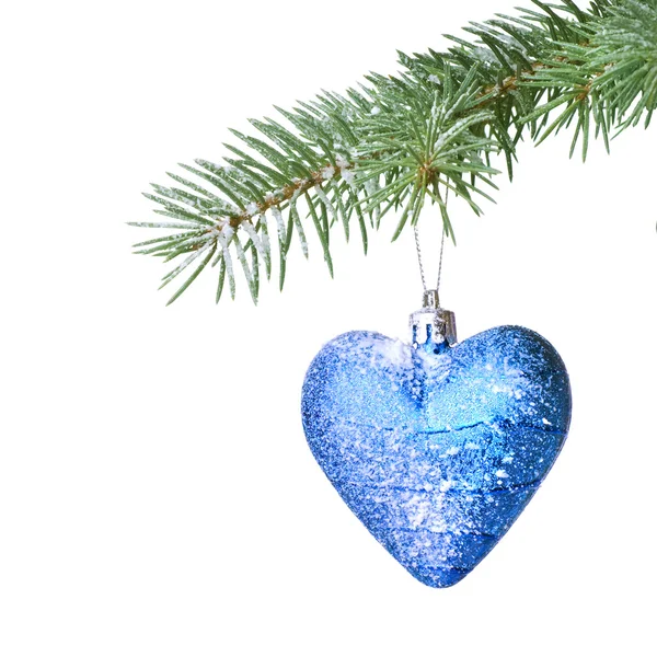Χριστουγεννιάτικη χοροεσπερίδα και χιόνι στο fir κλαδί δέντρου — Φωτογραφία Αρχείου