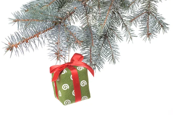 Christmas gift on fir tree branch — Stock Photo, Image