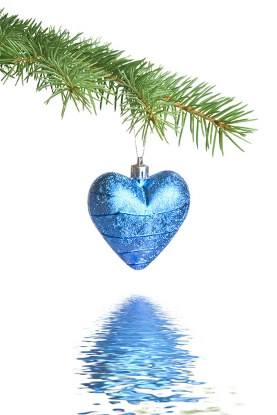 Noel top köknar ağacı dalı yansıması ile — Stok fotoğraf
