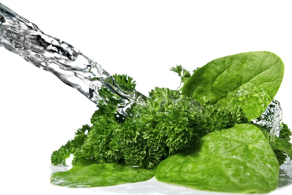 Gocce d'acqua su spinaci verdi e prezzemolo — Foto Stock