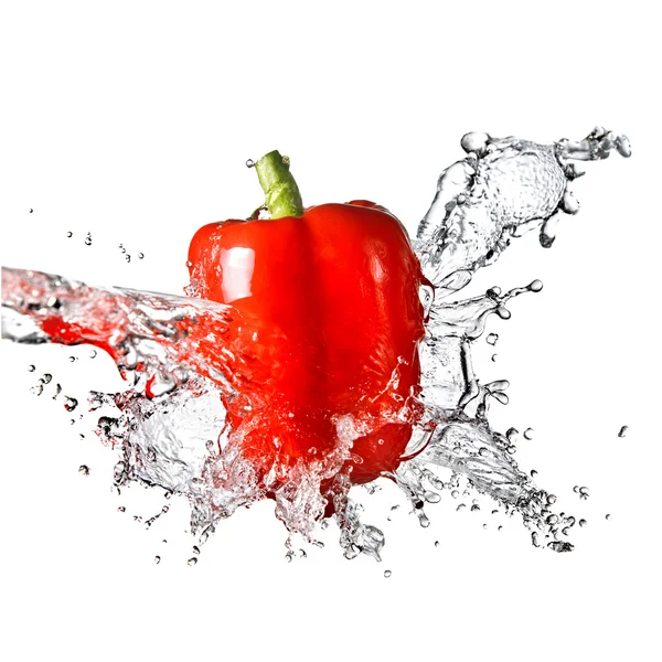 Spruzzi d'acqua fresca sul peperoncino rosso — Foto Stock