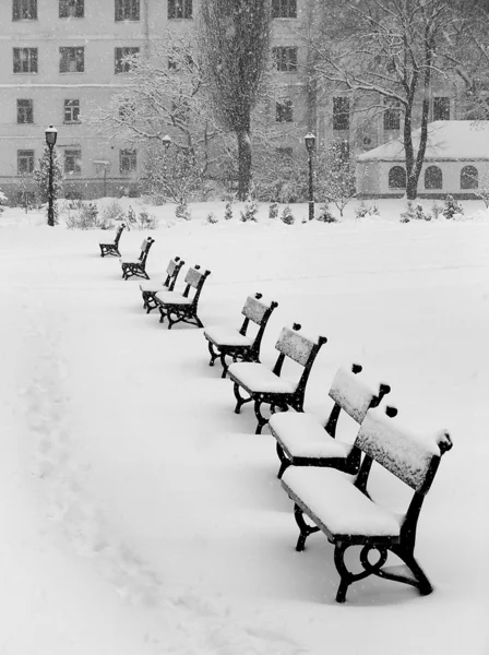 Benches in snow — Stock Photo, Image