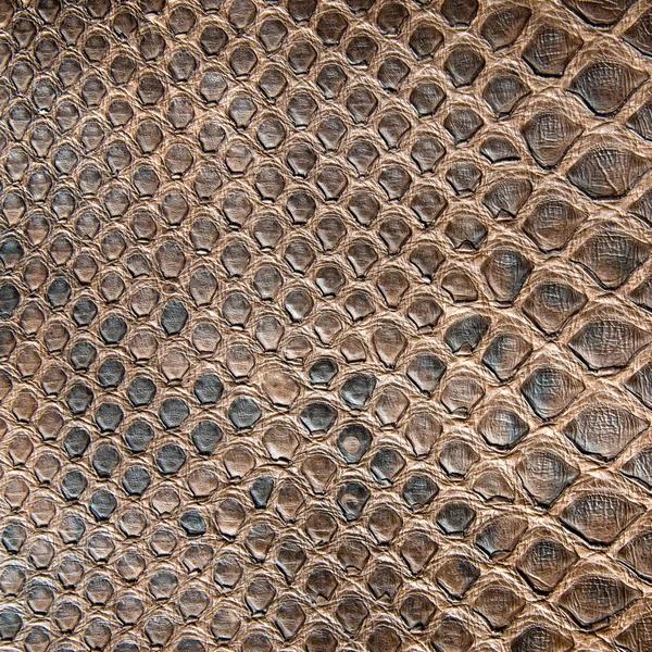 Texture di coccodrillo marrone — Foto Stock