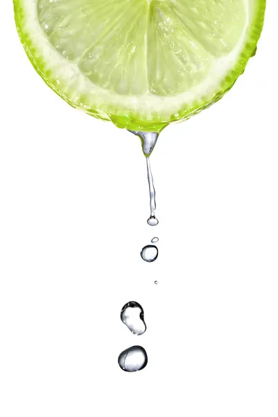 Fresh lime slice with water drops — Stock Photo, Image