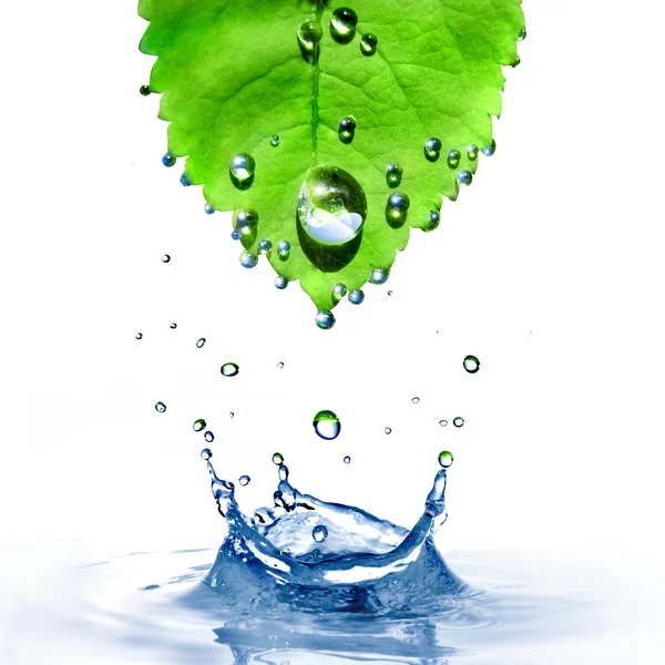 Zielony liść z kropli wody i splash — Zdjęcie stockowe