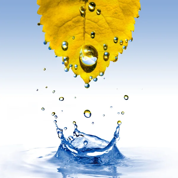 Geel blad met waterdruppels en splash — Stockfoto