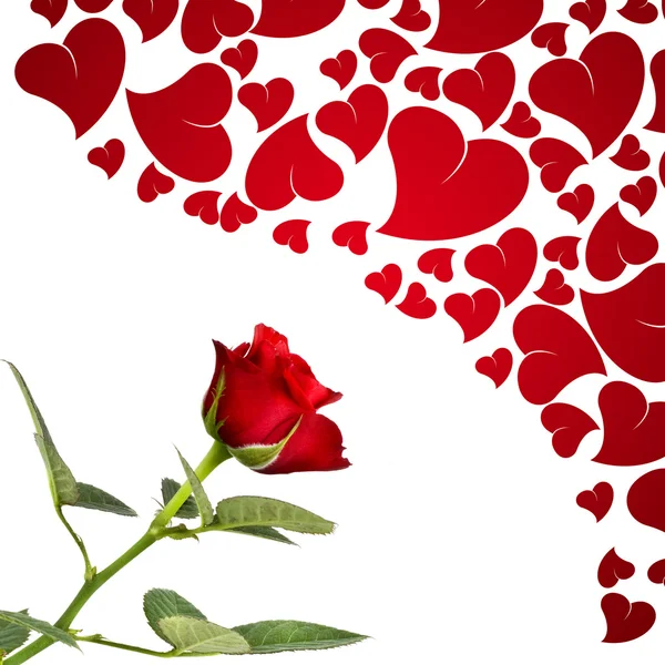 Красная роза и сердца для влюбленных — стоковое фото