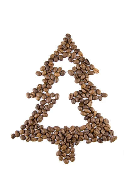コーヒー豆からモミの木 — ストック写真