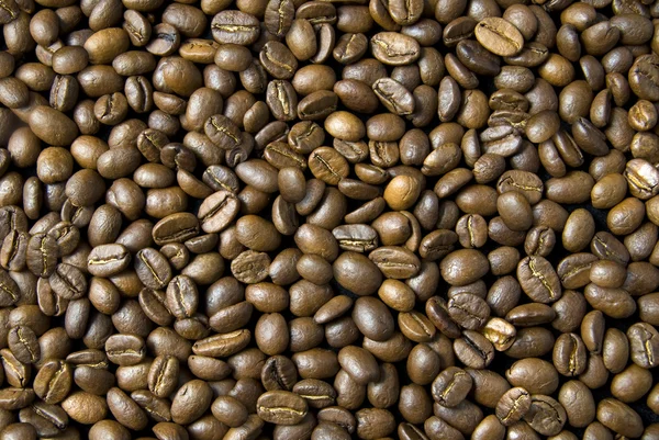 Fundo de grãos de café — Fotografia de Stock
