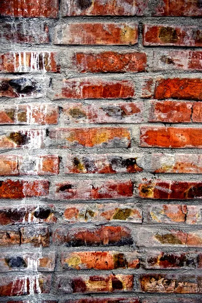Doku eski tuğla duvar — Stok fotoğraf