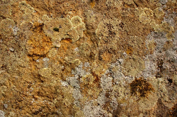 自然石のテクスチャ — ストック写真