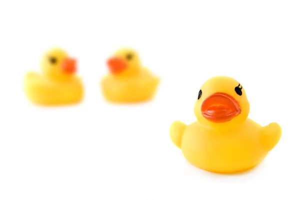 stock image Three rubber yellow ducks isolated on white