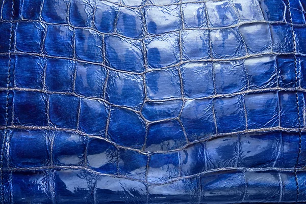 Розкішна синя шкіряна текстура — стокове фото