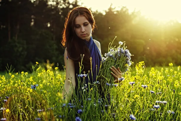 Flicka samla blommor på sunset — Stockfoto