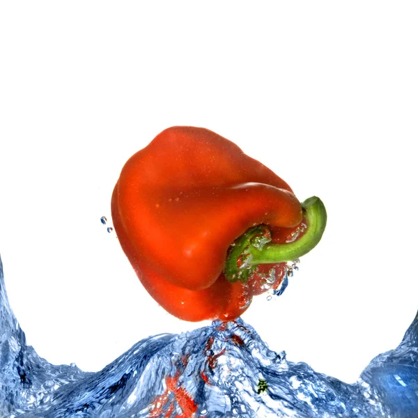 Pepe rosso con spruzzata di acqua blu isolata su bianco — Foto Stock