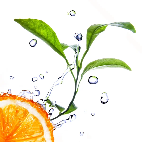 오렌지에 떨어지는 물은 녹색 잎을 흰색으로 분리 시킨다 — 스톡 사진