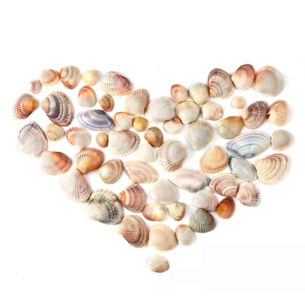 Serce na Walentynki z muszli kolor na białym tle — Zdjęcie stockowe