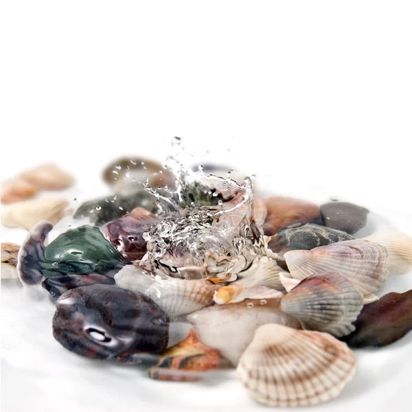 Water splash met verschillende kleur schelpen geïsoleerd op wit — Stockfoto