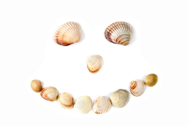 Smile from various color shells isolated on white — Stock Photo, Image