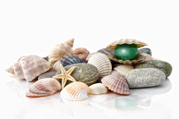 Conchas de varios colores con perlas estilizadas aisladas en blanco —  Fotos de Stock