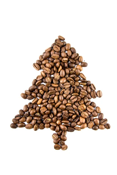 Spar-boom uit koffie bonen geïsoleerd op wit — Stockfoto
