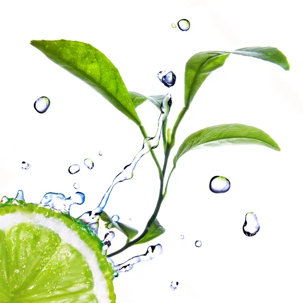 Water drops on lime with green leaves isolated on whit Stock Image