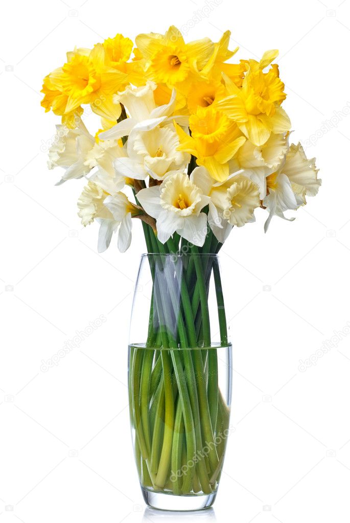 Bouquet from white and yellow narcissus in vase