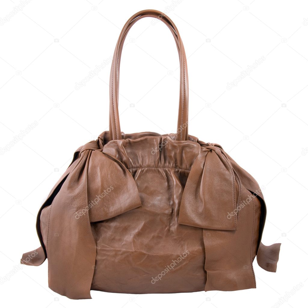 Luxury brown leather female bag isolated on white