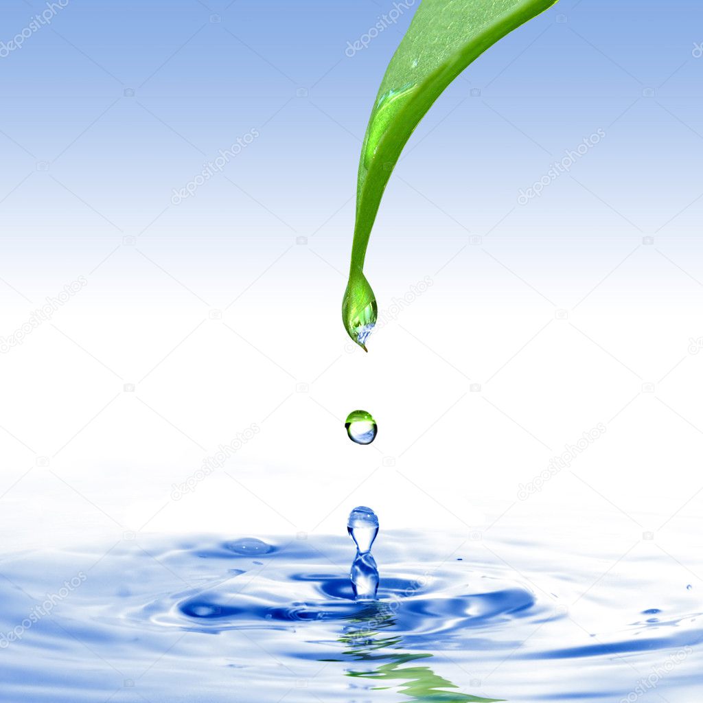Green leaf with water drop ans splash isolated on white