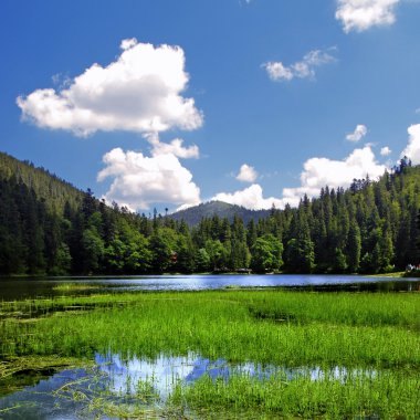 Summer landscape with mountains and blue lake clipart